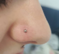 /album/piercing/758488727-122131672041352473-7389513741712784137-n-jpg/